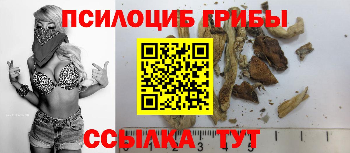 Галлюциногенные грибы прущие грибы Зеленогорск