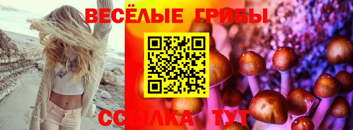 Галлюциногенные грибы прущие грибы  Вход с VPN  Галлюциногенные грибы MAGIC MUSHROOMS  Зеленогорск 